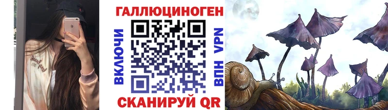 Галлюциногенные грибы Cubensis  кракен зеркало  Мариинский Посад 